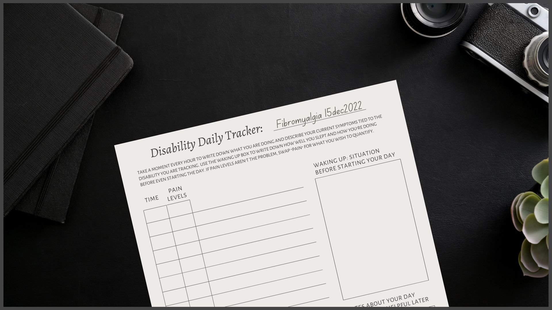 Disability tracker. written on top: Fibromyalgia and the date. the sheet is lined with a space to write the time as well as pain levels hourly.
